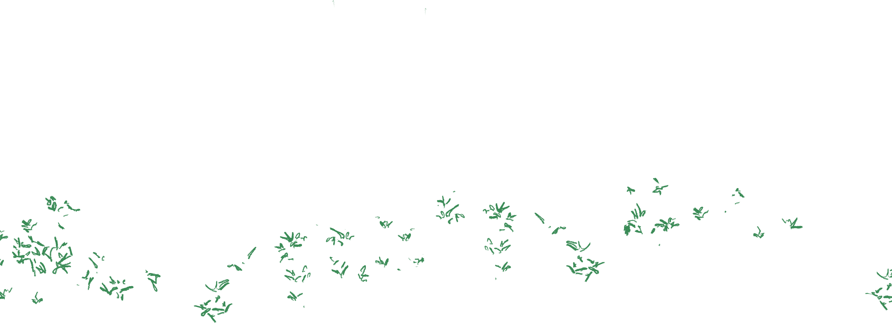 grass