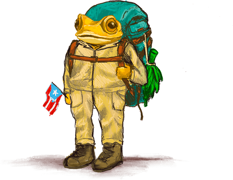 frog